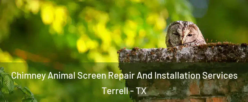  Chimney Animal Screen Repair And Installation Services Terrell - TX