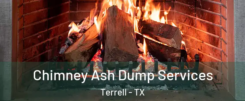  Chimney Ash Dump Services Terrell - TX