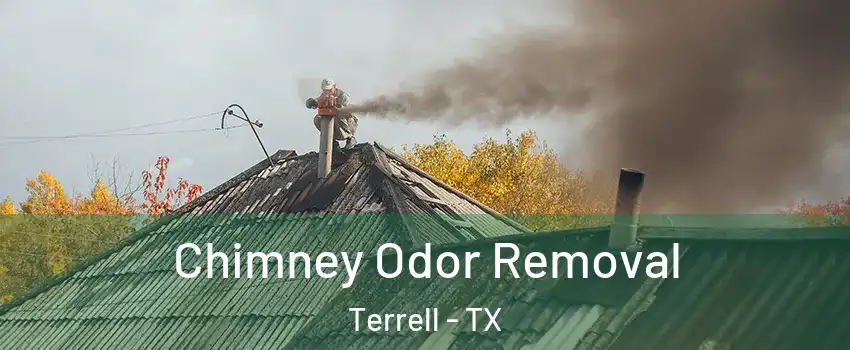  Chimney Odor Removal Terrell - TX