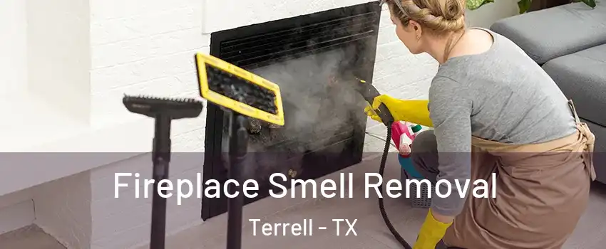  Fireplace Smell Removal Terrell - TX