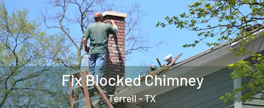  Fix Blocked Chimney Terrell - TX