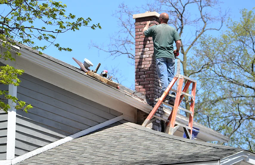 Chimney & Fireplace Inspections Services in Terrell, TX