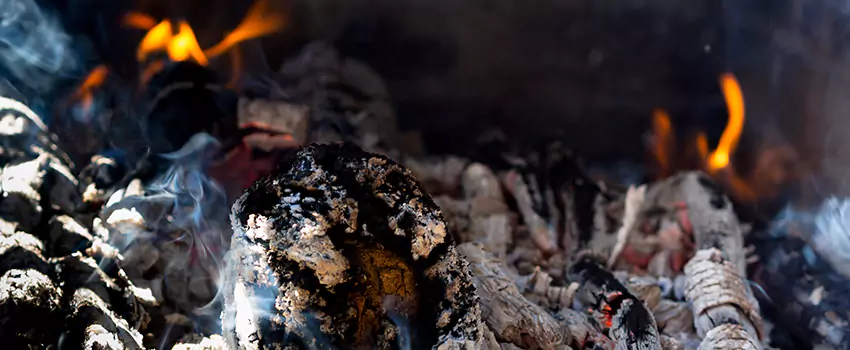 Creosote Removal Experts in Terrell, TX