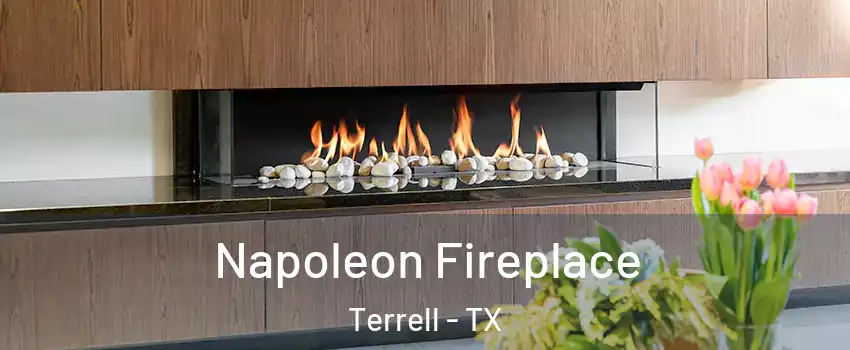  Napoleon Fireplace Terrell - TX